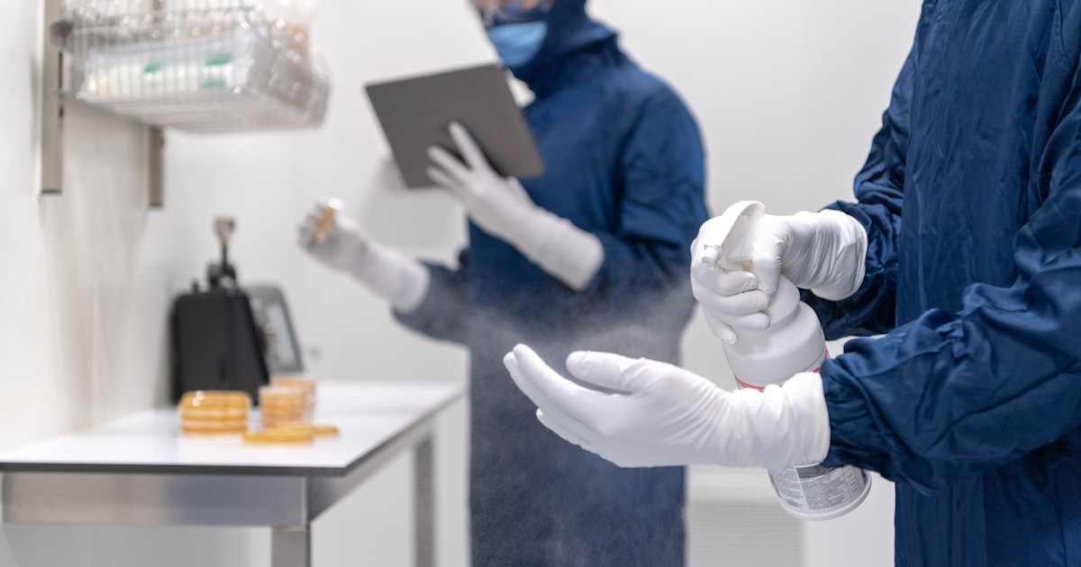 Benefits of Professional Mold Inspection