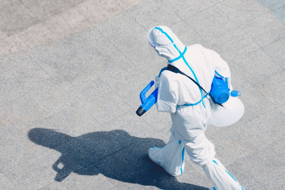 Understanding Mold Testing