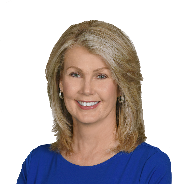 Elise Noon – Certified Mold Inspector